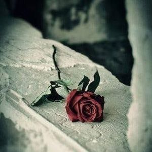 Meet your Posher, Raymie